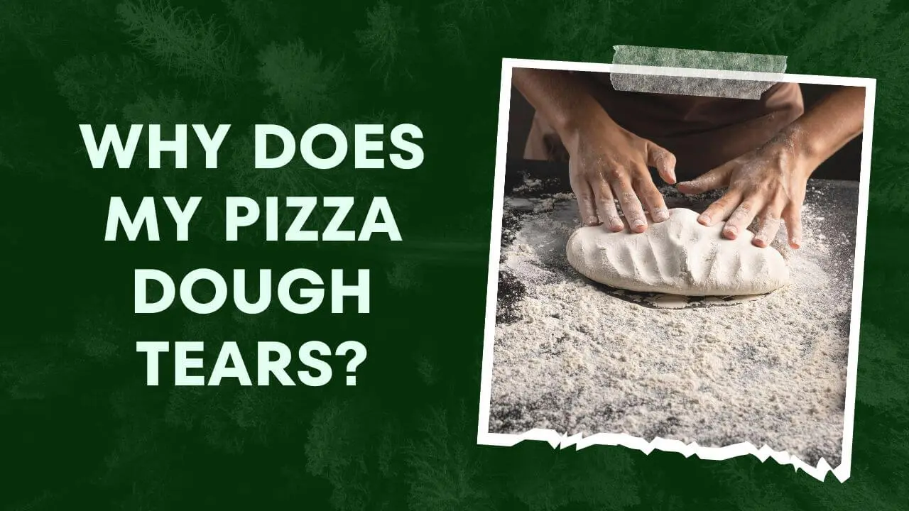 Mastering Pizza Dough: Why Does My Pizza Dough Tears and How to Fix it?