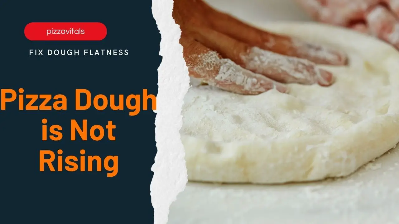 Pizza Dough Not Rising: How to Rescue Non-Rising Dough in 2023